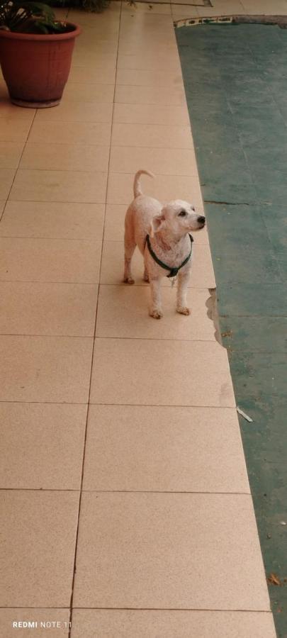 سالتا Plaza Hostel Sj 2 المظهر الخارجي الصورة